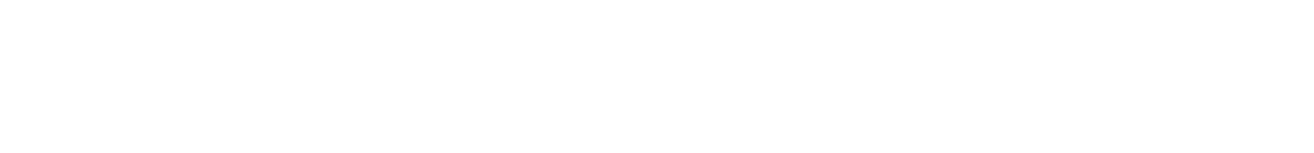 LEMURE 範例方案